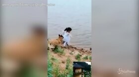 Pallone in acqua, il cane blocca la bimba e si getta al posto suo: il video commuove il web