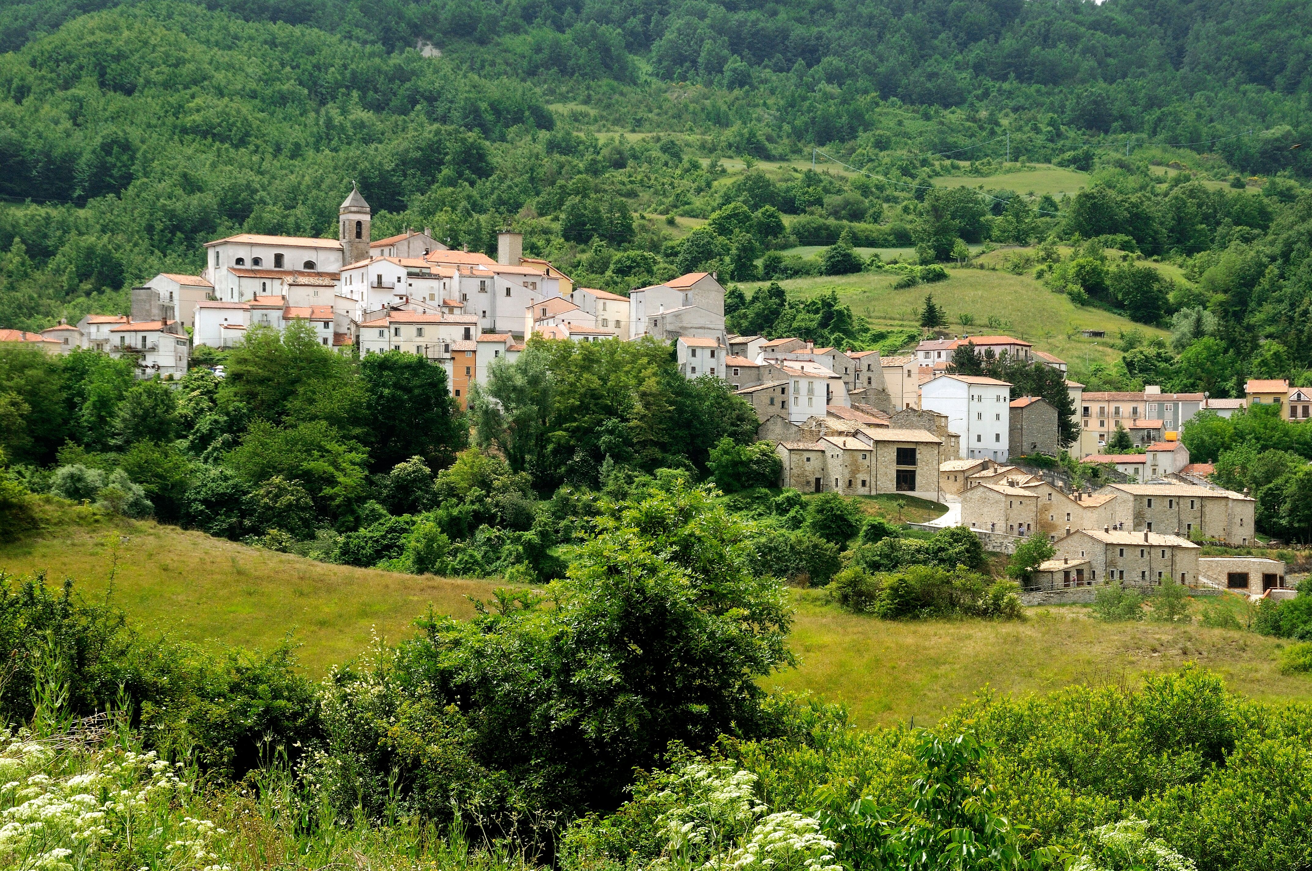 Nel borgo rinato del Molise c’è la Scuola nel Bosco