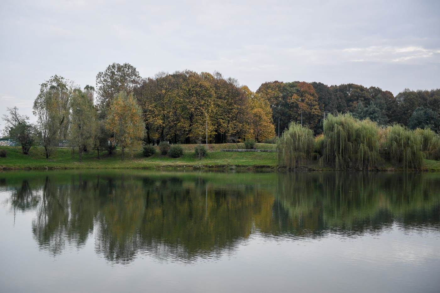Ferrara, 13enne recuperato in un laghetto dopo tuffo: è grave