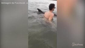 Gargano, il delfino si lascia accarezzare dai bagnanti