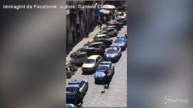 La polizia spara e uccide un cane, valanga di polemiche a Napoli