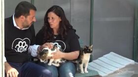 Roma, Salvini al gattile del Verano: in arrivo 1 mln di euro per contrastare maltrattamento animali