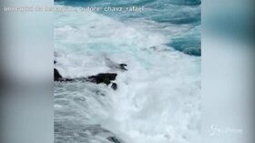 Hawaii, in posa per un selfie: un’onda risucchia le turiste in mare