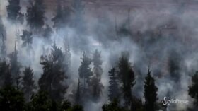 Caldo eccezionale, la foresta vicino a Gerusalemme prende fuoco