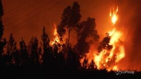 Vigili del fuoco contro le fiamme: la lotta contro gli incendi nel centro del Portogallo