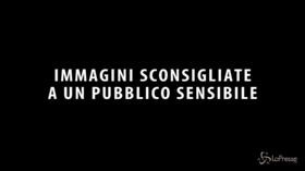 Caos su volo diretto al Cairo, egiziano trascinato via dalla sicurezza tra le urla degli altri passeggeri