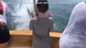 VIRAL PRESSE – Lo squalo emerge dalla superficie e quasi colpisce il bambino in barca