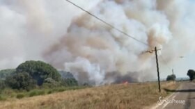 Francia, boschi e vigneti in fiamme