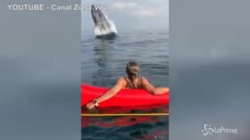 L’enorme balena salta a pochi metri dai bagnanti