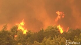 Grecia, incendio sull’isola di Evia: centinaia di sfollati