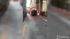 Torino, il video del tentato rapimento