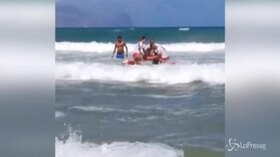 Ferragosto di superlavoro per i cani bagnini: salvate 6 persone