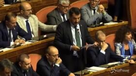 Crisi governo, Salvini: “Rifarei tutto da uomo libero”