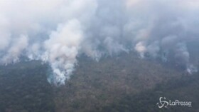 Incendi in Amazzonia, Bolsonaro invia l’esercito