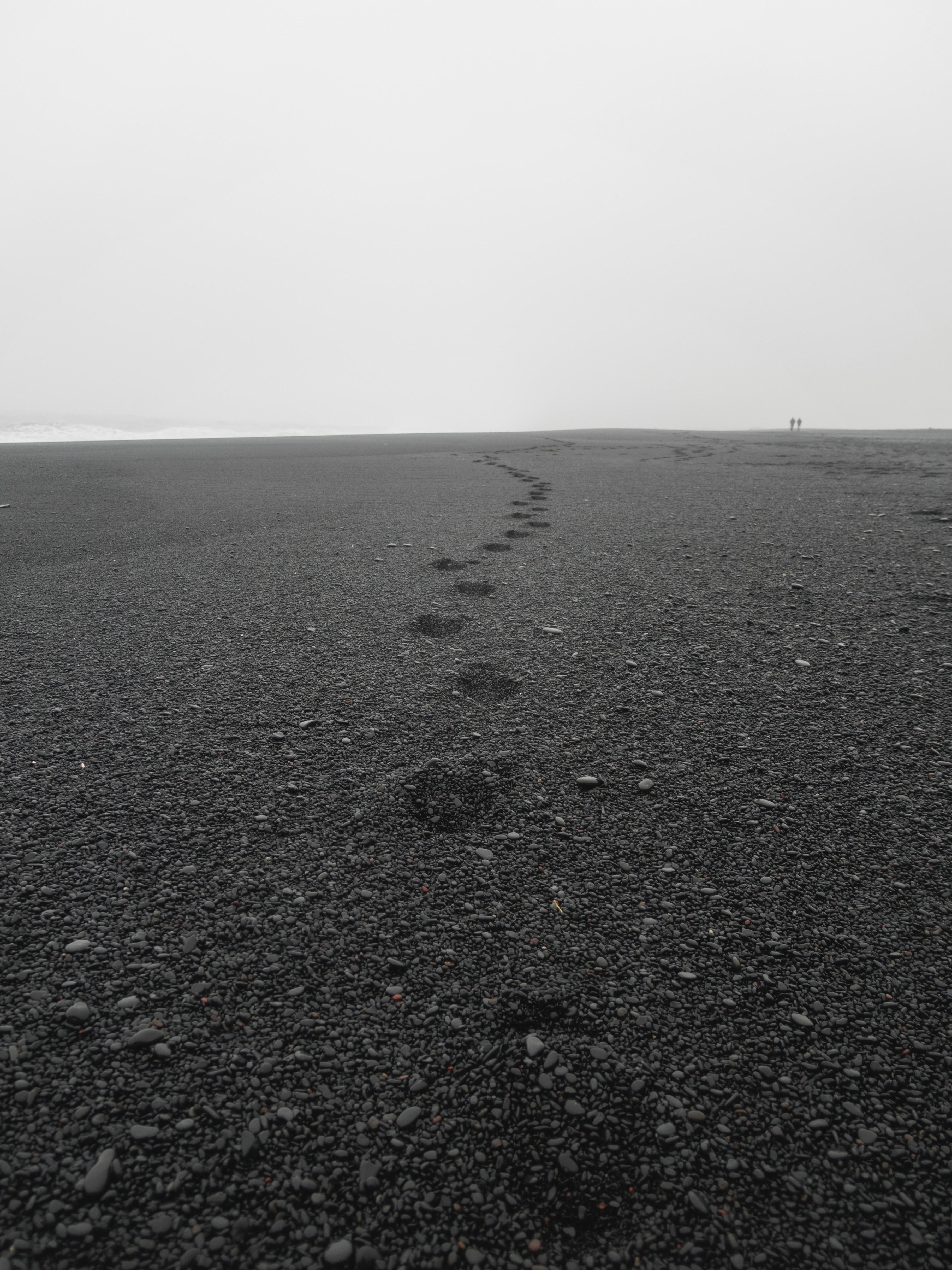 L’oroscopo di domenica 25 agosto: Scorpione, è tempo di cambiare strada