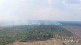 Brasile, centinaia di roghi distruggono la foresta amazzonica