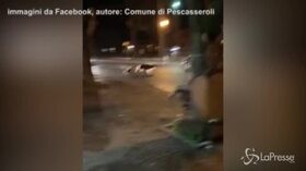 Incontri inusuali: mamma orsa e il suo cucciolo corrono per le vie Pescasseroli