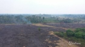 Brasile, le riprese aeree dell’Amazzonia distrutta dagli incendi
