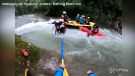 Il cucciolo di capriolo rischia di annegare: salvato dalla guida di rafting