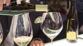 La vendemmia Doc spinge il record dell’export del vino