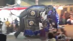 Sri Lanka: elefanti travolgono folla durante una festa: almeno 17 feriti