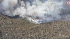 L’Australia orientale devastata dagli incendi
