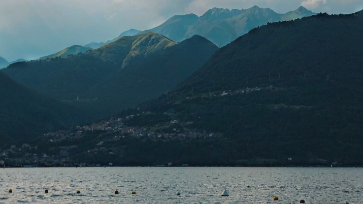 Alessia Dubini on Unsplash