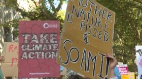 Fridays For Future, giovani in piazza  a londra e a Berlino. E Merkel lancia piano green