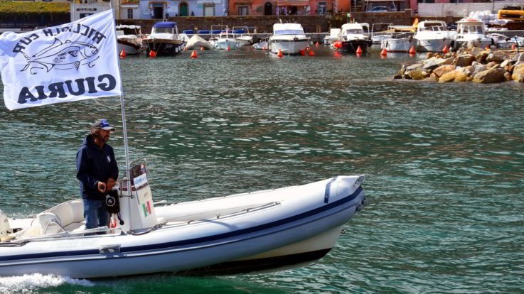 La Ricciola Cup registra il 'tutto esaurito' all'Isola del Giglio