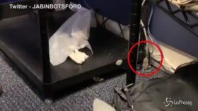 Un topo alla Casa Bianca
