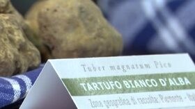 Alba, al via la Fiera Internazionale del Tartufo Bianco