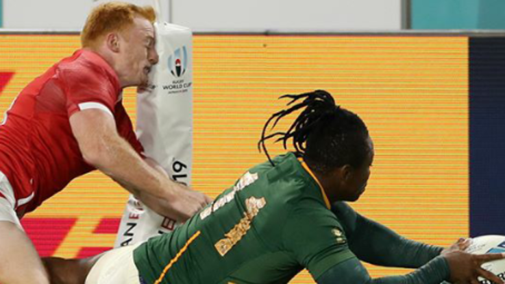 da instagram bokrugby