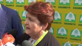 Dl clima, Bellanova: “Sventato aumento gasolio agricolo”