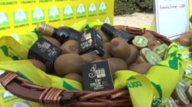 Agricoltura circolare, al Forum Coldiretti anche i produttori di aceto di kiwi