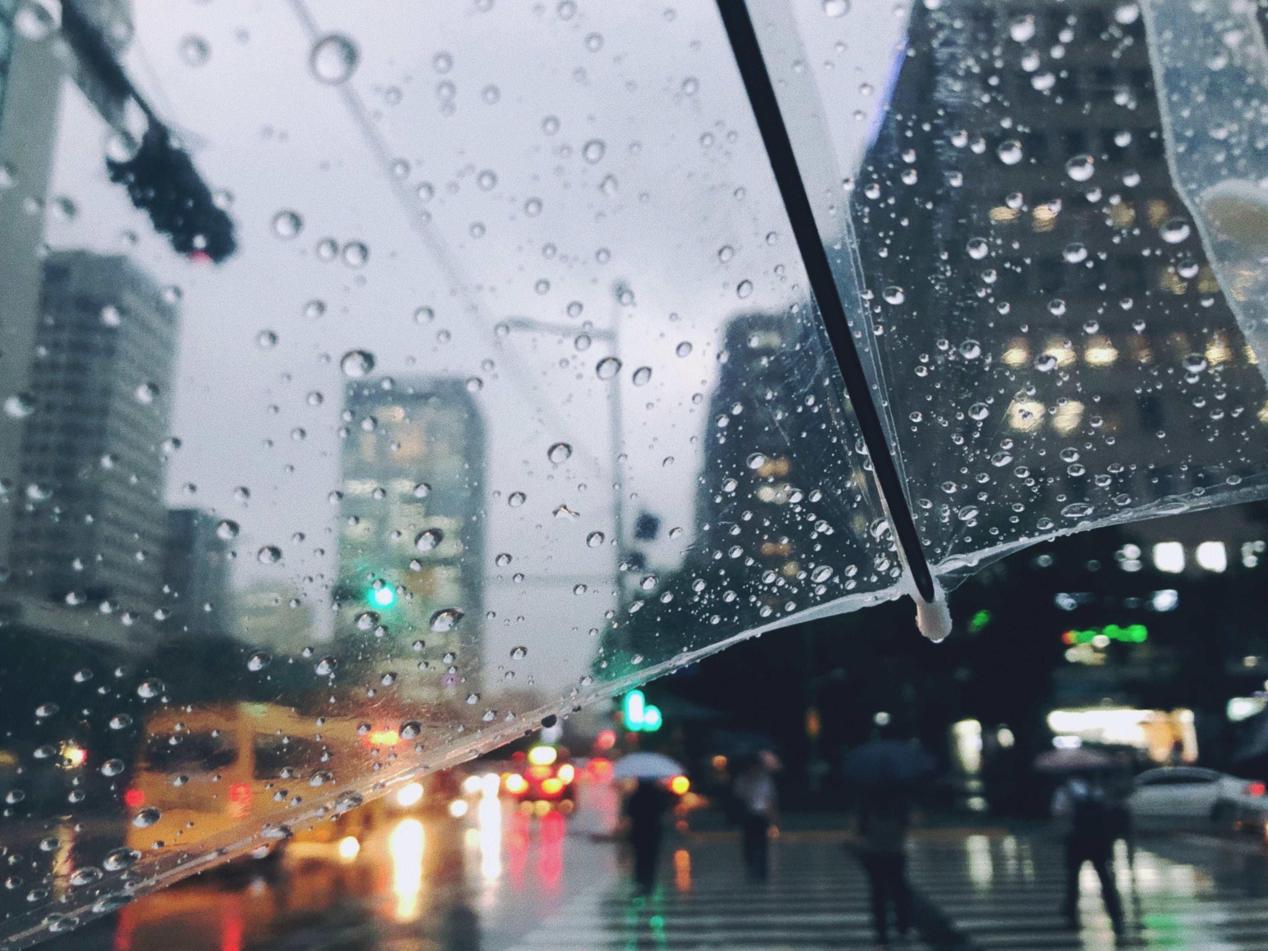 Il meteo del 29 e 30 Ottobre, continuano le piogge. Migliora mercoledì