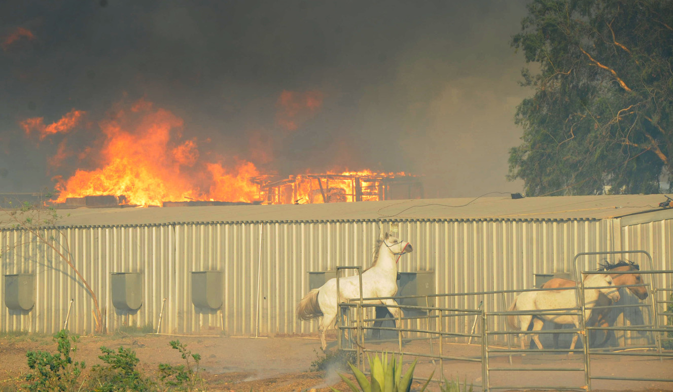La California continua a bruciare, nuovi violenti incendi nel Sud