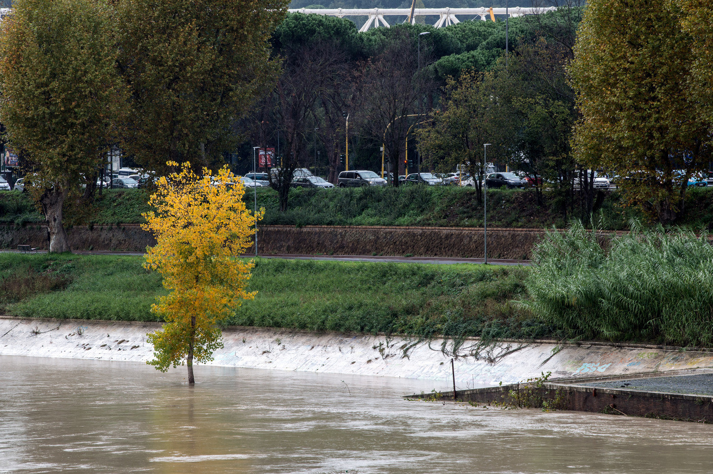 Il meteo del 24 e 25 novembre, ancora piogge sull’Italia