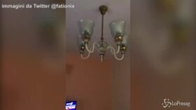 Terremoto il Albania, la scossa ripresa in un video