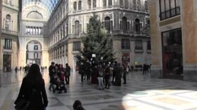 Natale a Napoli: torna in Galleria Umberto ‘Rubacchio’, l’albero rubato ogni anno