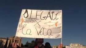 Sardine a Roma, Santori: “Il 2020? Porteremo luce al nuovo decennio”