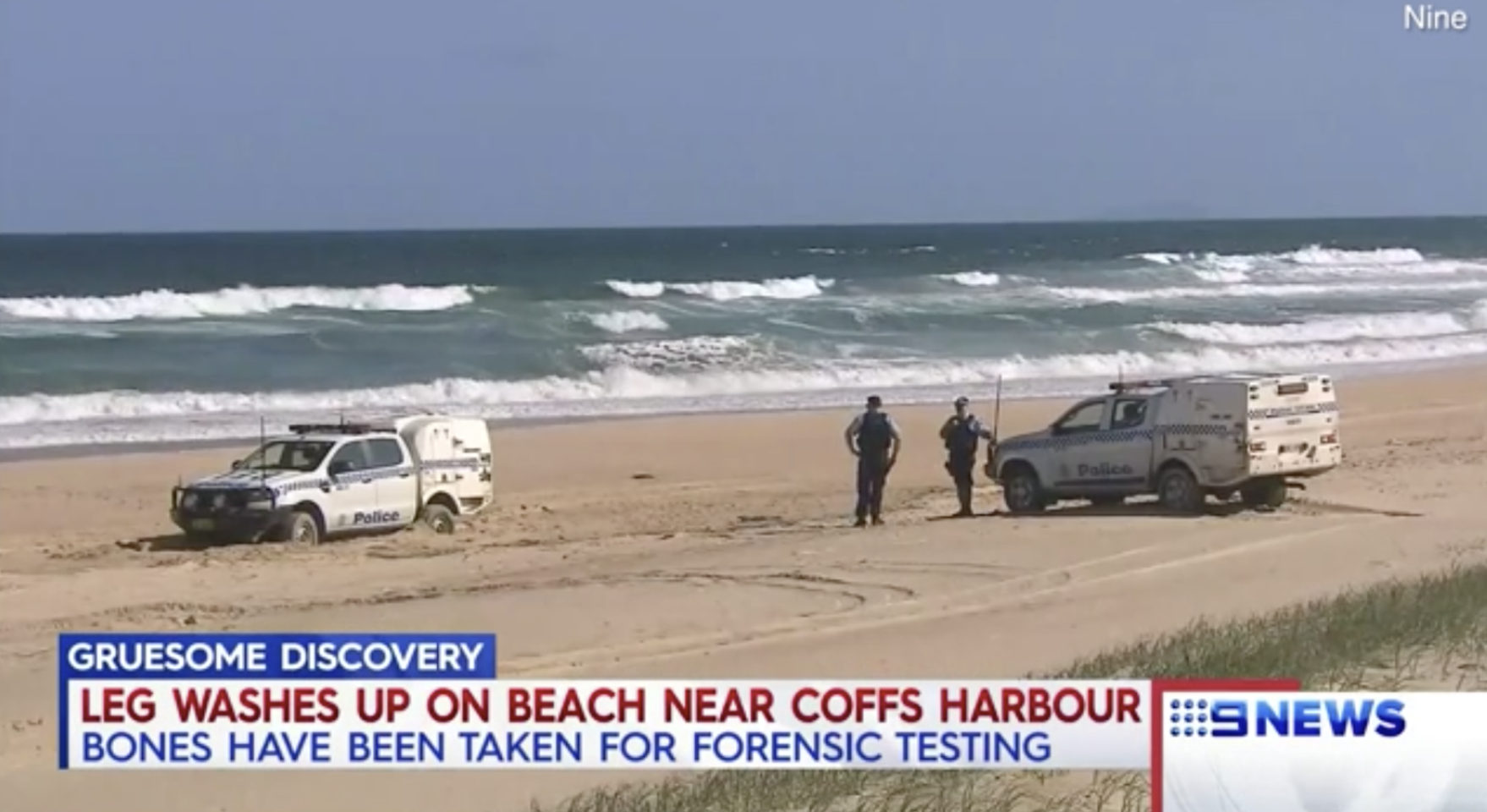 Resti di una gamba umana sulla spiaggia, allarme squalo killer in Australia