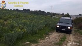 Falso olio biologico, arrestato ex consigliere regionale della Calabria