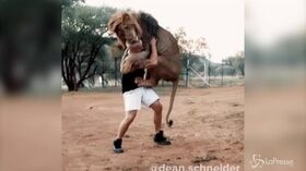 Dean Schneider, l’abbraccio con il leone del ‘domatore’ svizzero