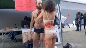 Milano, la protesta animalista: cellofanati come carne e pesce