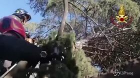 Vento forte a Cagliari, più di 100 interventi dei vigili del fuoco