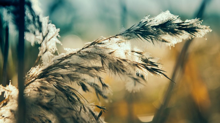 Il meteo del 27 e 28 dicembre: arriva il primo grande freddo