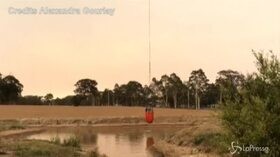 Incendi in Australia, grosse colonne di fumo in cielo