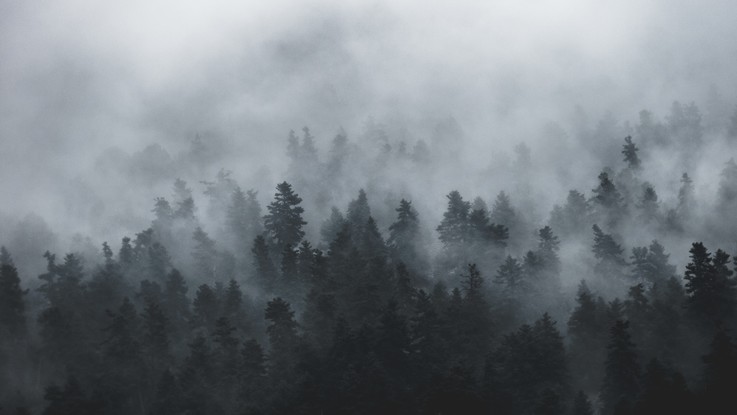 Le previsioni del 7 e 8 gennaio: rischio nebbia al Nord
