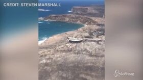 Australia, la devastazione dei roghi dall’alto