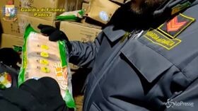 Peste suina, sequestrate a Padova 10 tonnellate di carne cinese